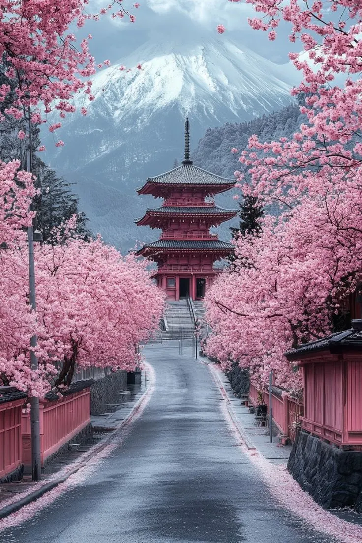 blossom up​